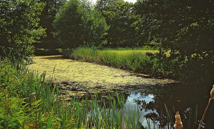 Hen Gwrt Moated Site